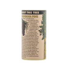 Load image into Gallery viewer, Ponderosa Pine | Seed Grow Kit | The Jonsteen Company