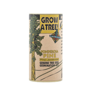 planting ponderosa pine seeds Ponderosa Pine