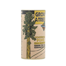 Load image into Gallery viewer, Ponderosa Pine | Seed Grow Kit | The Jonsteen Company