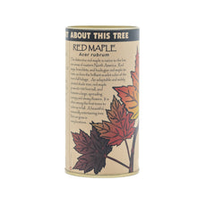 Load image into Gallery viewer, Red Maple | Seed Grow Kit | The Jonsteen Company
