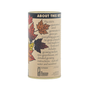 Red Maple | Seed Grow Kit | The Jonsteen Company