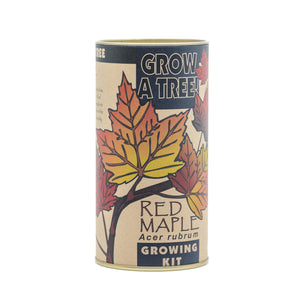 Red Maple | Seed Grow Kit | The Jonsteen Company