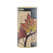 Load image into Gallery viewer, Red Maple | Seed Grow Kit | The Jonsteen Company