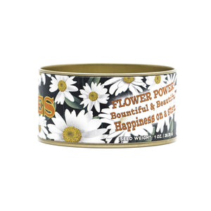 Shasta Daisy | Flower Seed Grow Kit | The Jonsteen Company