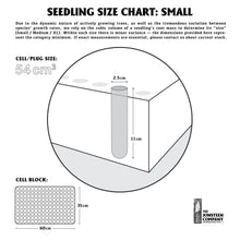 Load image into Gallery viewer, Seedling Size Chart | Small | The Jonsteen Company