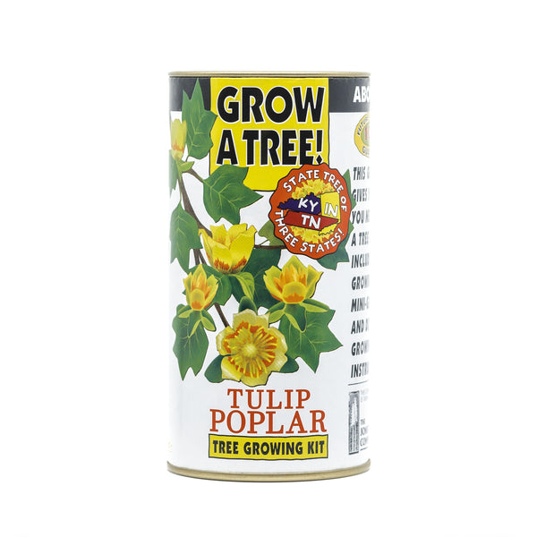 Tulip Poplar | White Design | Seed Grow Kit
