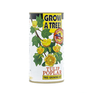 Tulip Poplar | White Design | Seed Grow Kit