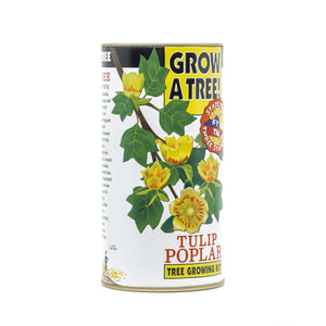 Tulip Poplar | White Design | Seed Grow Kit | The Jonsteen Company