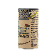 Load image into Gallery viewer, Whitebark Pine | Seed Grow Kit | The Jonsteen Company