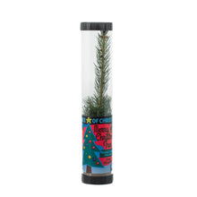 Load image into Gallery viewer, Living Christmas Tree | Norway Spruce | The Jonsteen Company